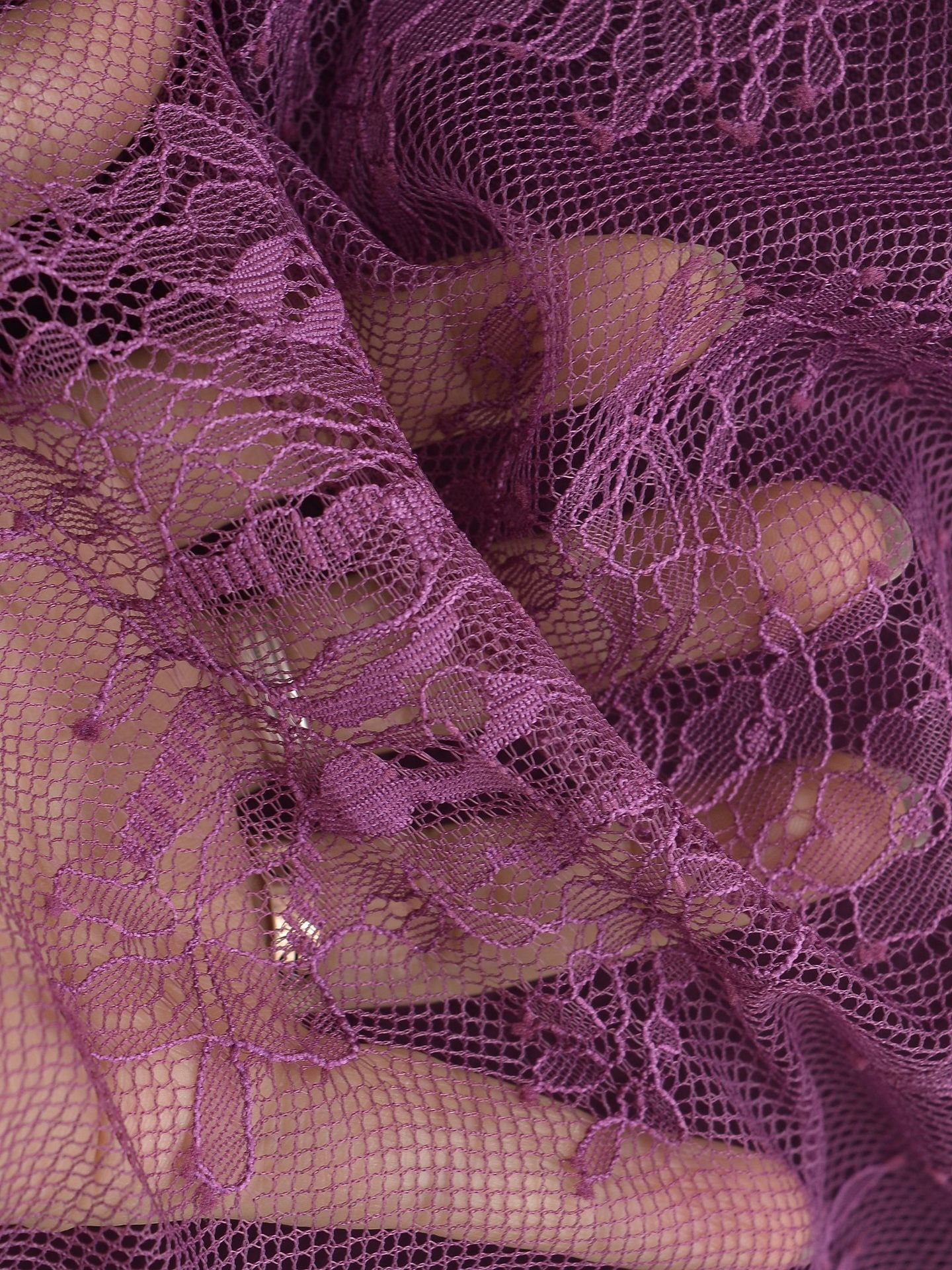 DSE_8203.JPG