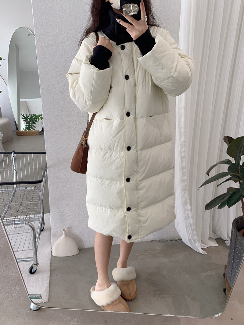 5953 (5).JPG