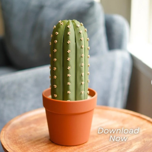 CactiChess - Roll-Up Cactus Chess Set Cactus Chess Game