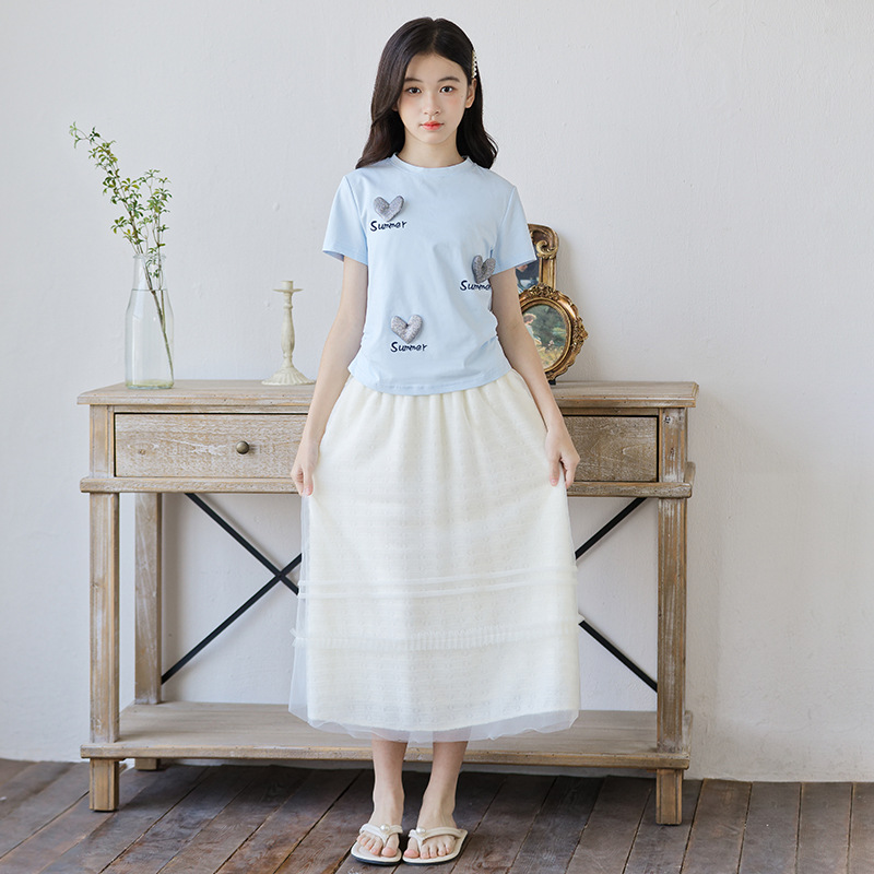 Cute Blue Heart T-Shirt Ruffled Mesh Skirt Set for Girls