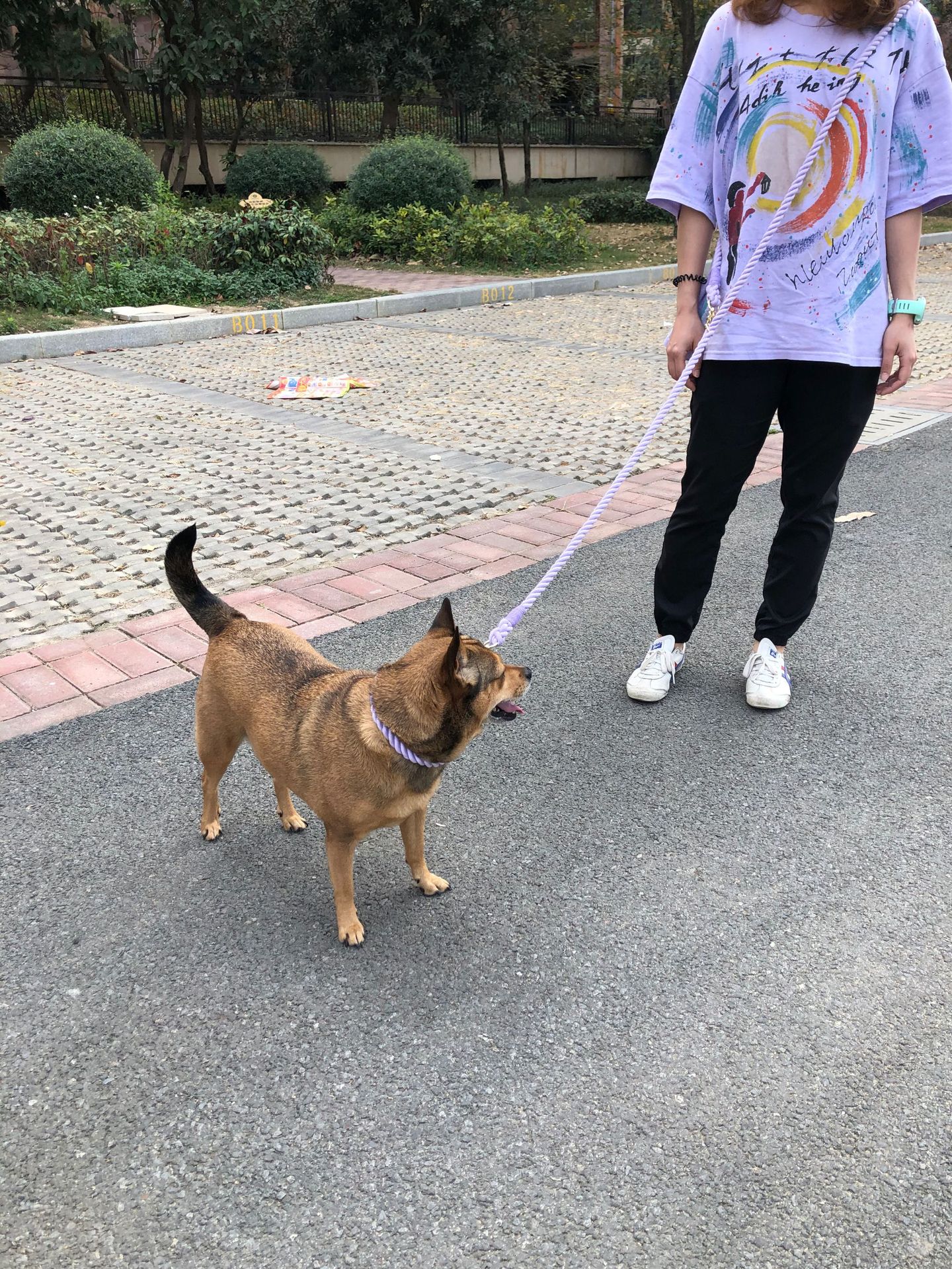 微信图片_20210204151215.jpg