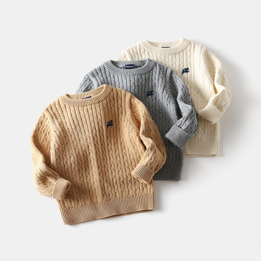 Embroidered sweater for boys