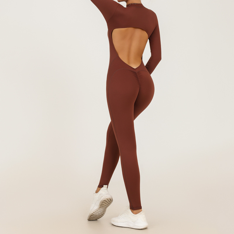 Fall and Winter New Style Zipper Long Sleeve Sheer Yoga Jumpsuit for Women, Daily Fitness and Exercise Full-Length Pants 7