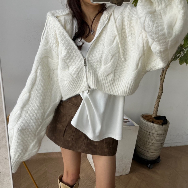 毛衣女2025秋冬季连帽拉链韩系宽松麻花慵懒风蝙蝠袖短款针织