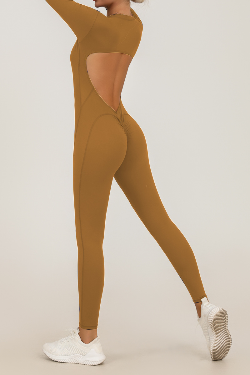 Fall and Winter New Style Zipper Long Sleeve Sheer Yoga Jumpsuit for Women, Daily Fitness and Exercise Full-Length Pants 2
