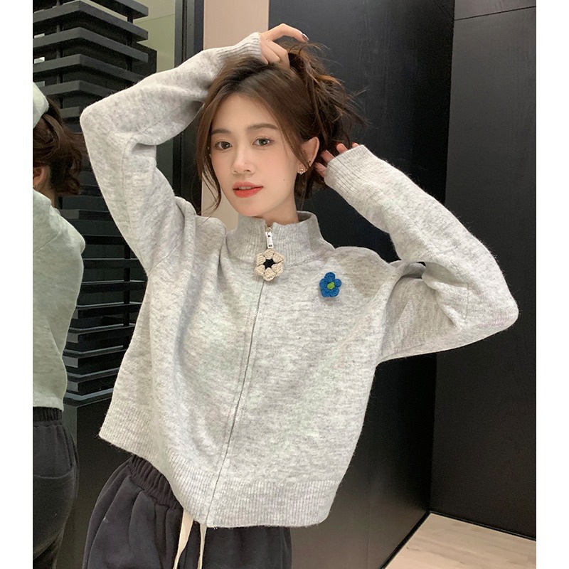 Gray Zipper High Neck Knit Cardigan Coat for Women, Spring Autumn Winter, Petite, Loose Short Style